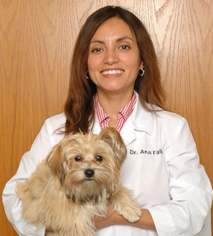Dr Ana Falk Holistic Pet Vet Phone Consultations 1